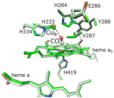 Quantification of Local Electric Field Changes at the Active Site of Cytochrome c Oxidase by Fourier Transform Infrared Spectroelectrochemical Titrations